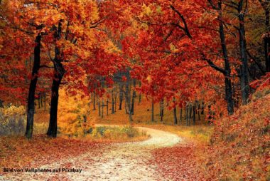 fall-1072821_1280